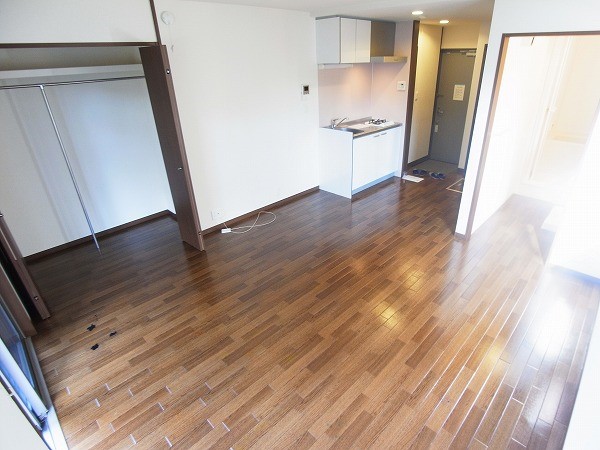 セノーテ リビング