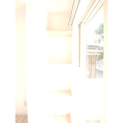 SETTER RIDGE その他4