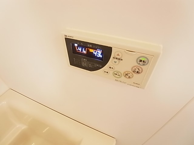 ルネ　シェスタ その他12