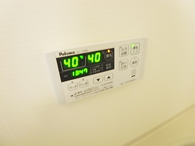 ゼルコバガーネット３ その他30