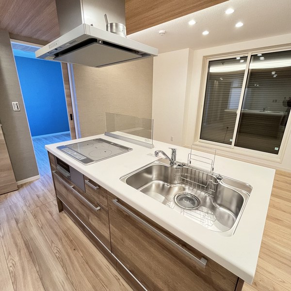 Grandy Villa ohtakanomori Ⅱ キッチン