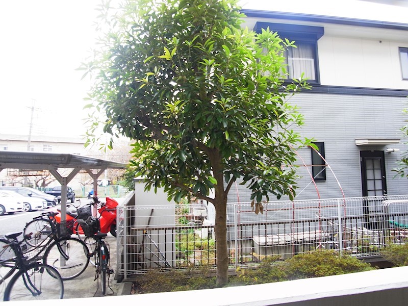 アベニール その他6