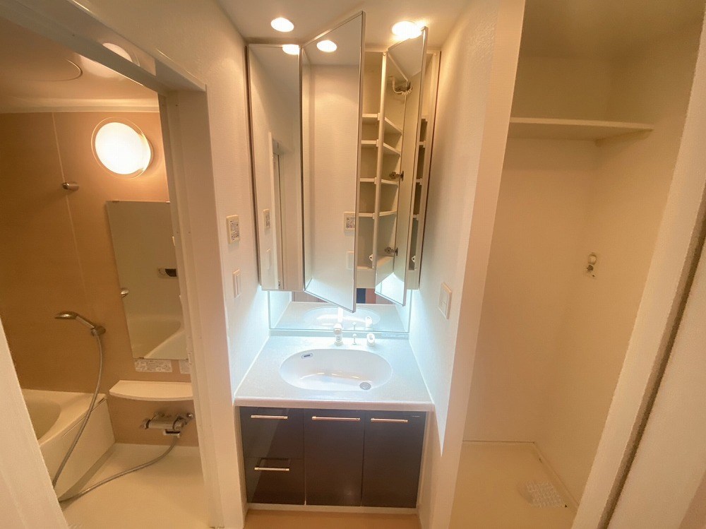 ロイヤルパークス新田 その他2