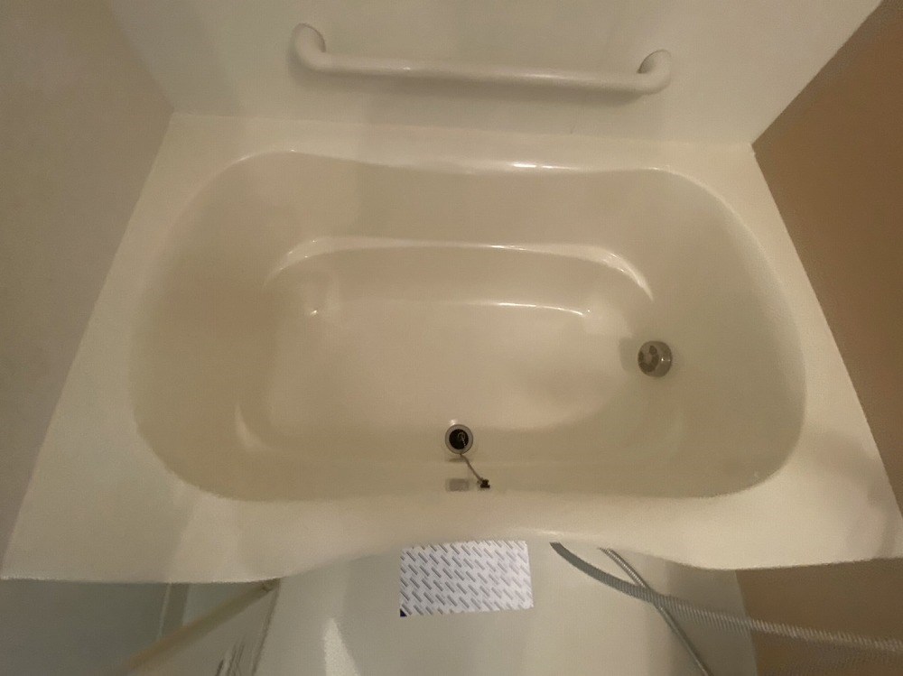 ロイヤルパークス新田 その他11