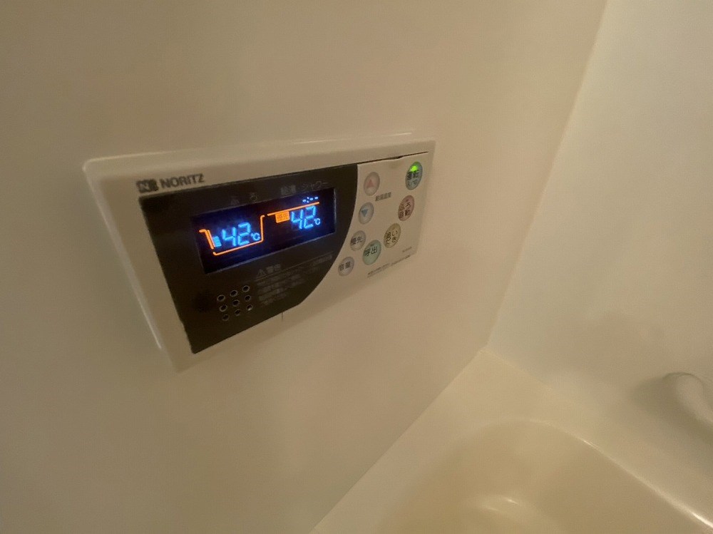 ロイヤルパークス新田 その他12