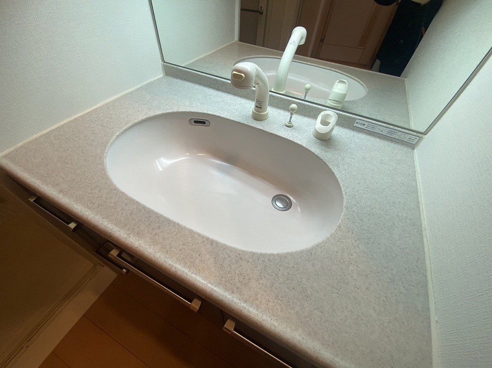 ロイヤルパークス新田 その他14