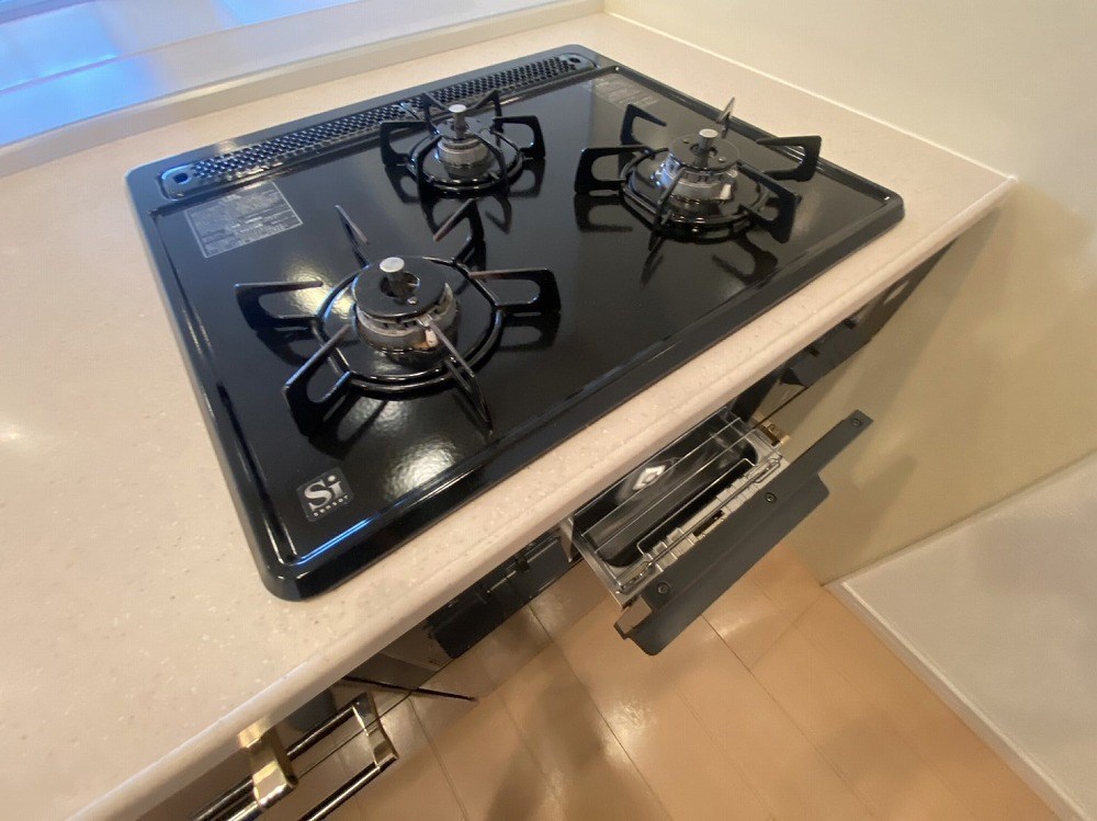 ロイヤルパークス新田 その他18