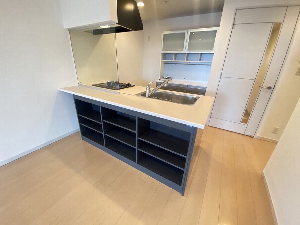 ロイヤルパークス新田 その他21