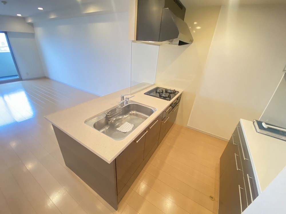 ロイヤルパークス新田 キッチン