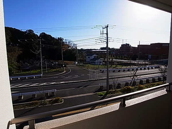 セントラルパークウッズ その他6