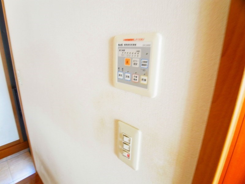 ハレルアナ その他12