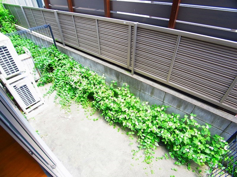 ハレルアナ ベランダ