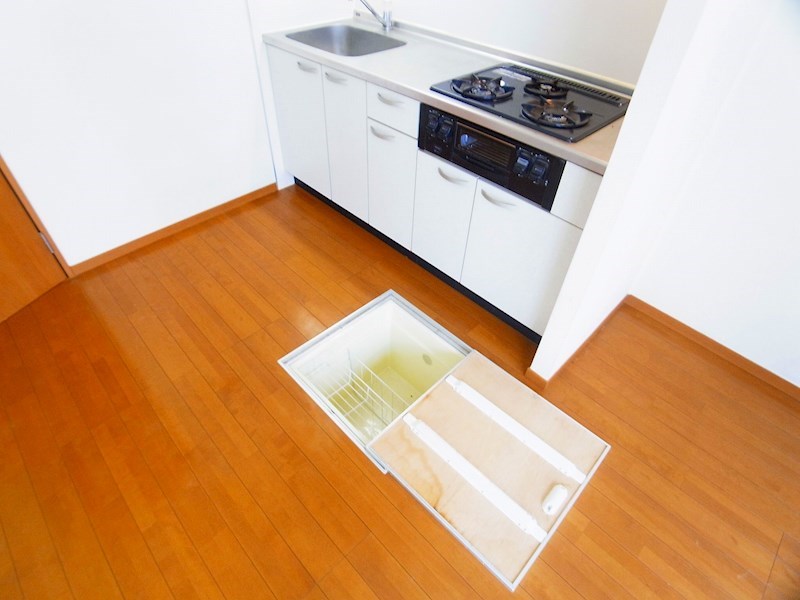 ハレルアナ その他14