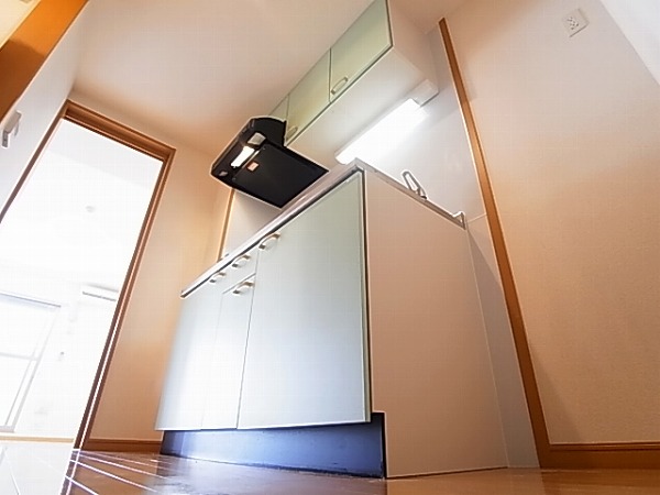 セントラルパークウッズ その他9