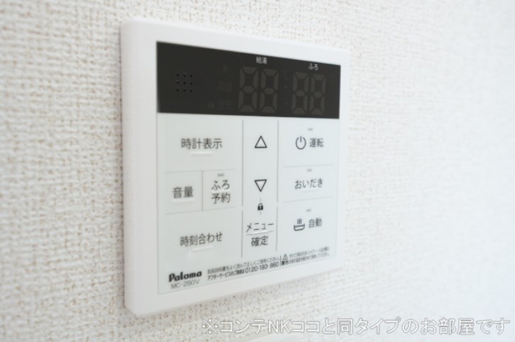 アリウムC その他5