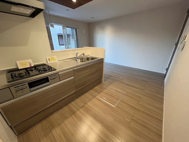 ハイピクチャー　D棟 その他20