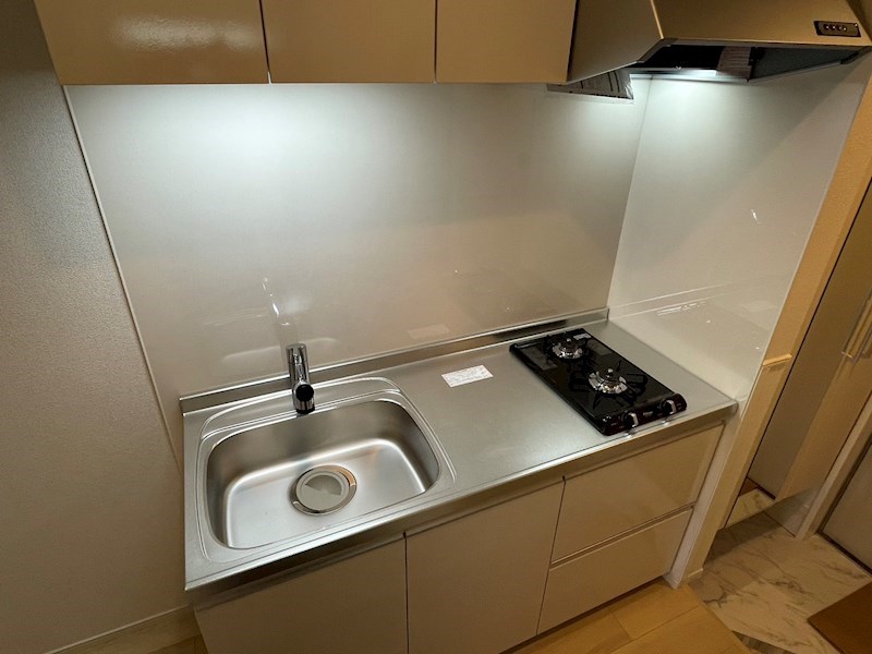 シャイニー その他11