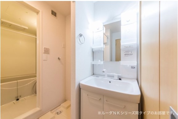 オリーブ その他2