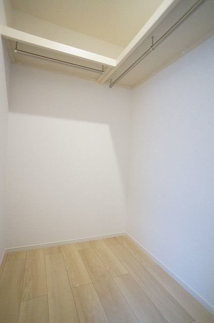 オリーブ その他3