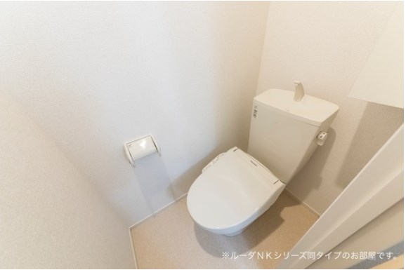 オリーブ その他1