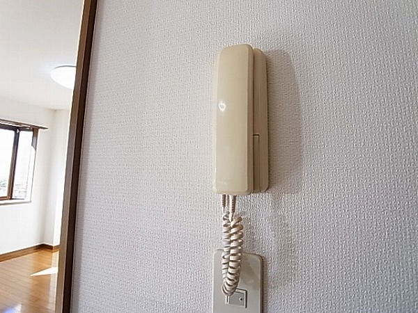 ラフィーヌ・フォレ その他4