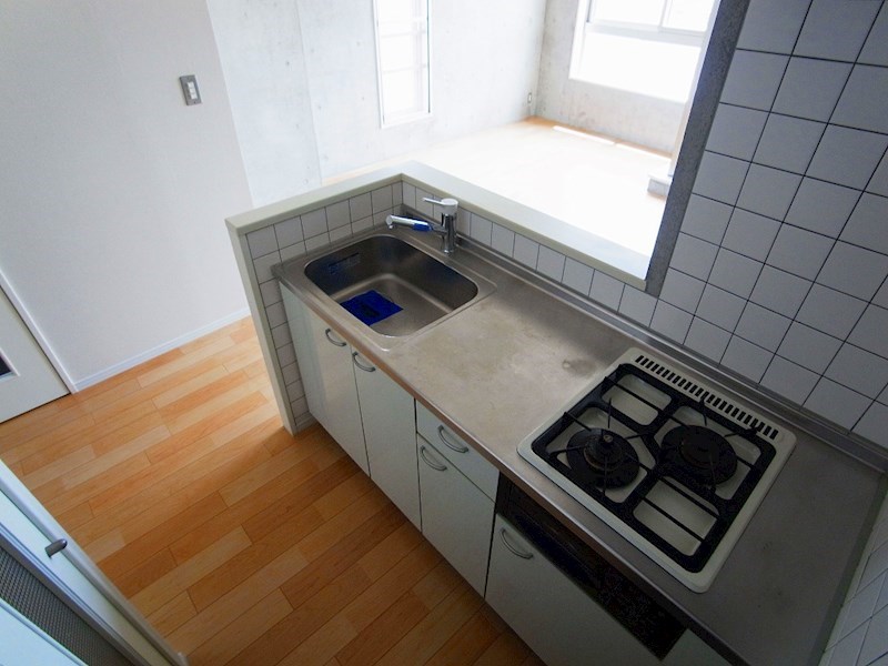 aptプラムコート その他12