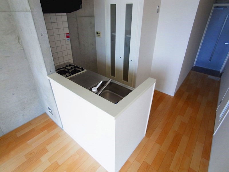 aptプラムコート その他13