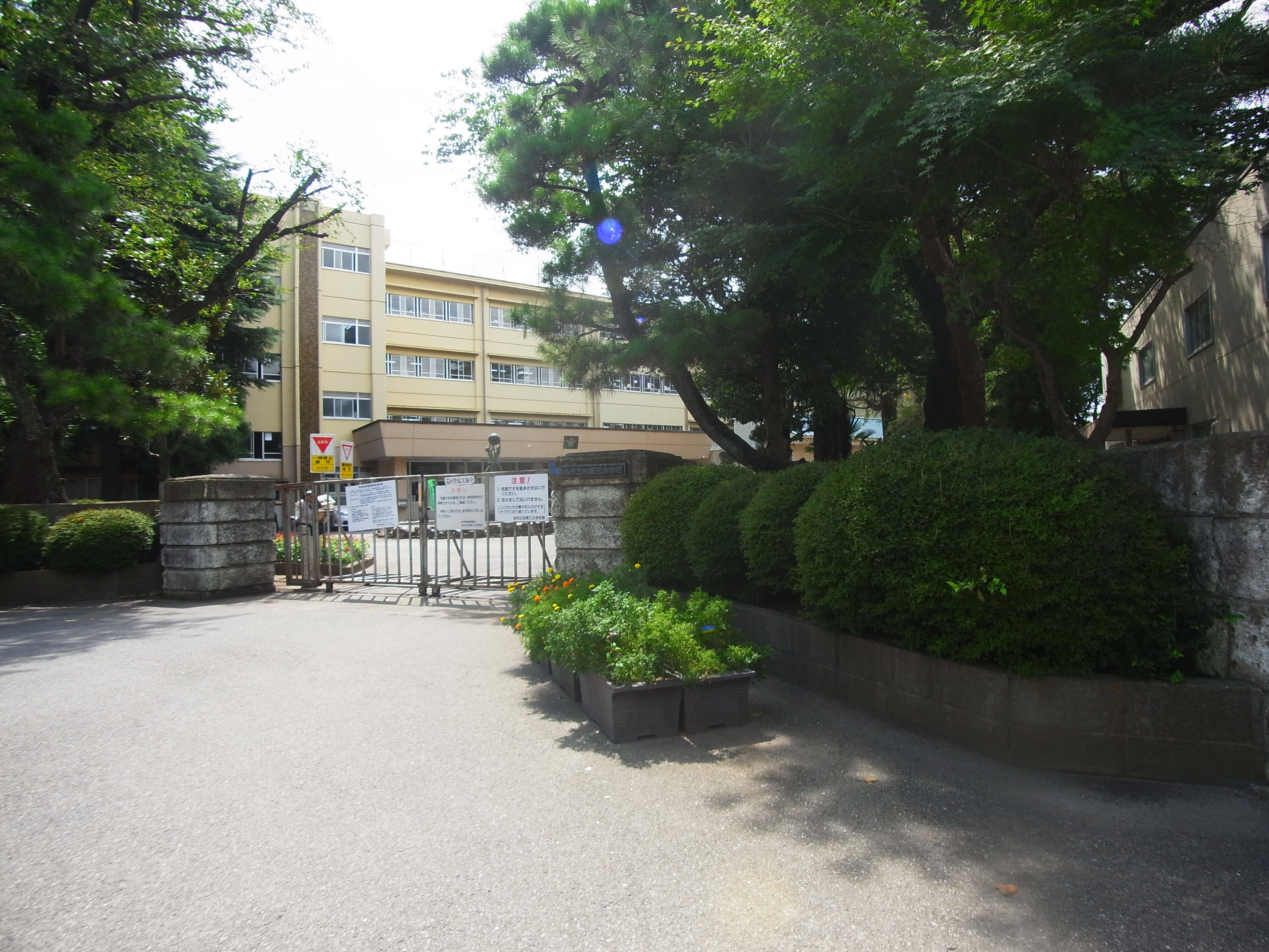 プレステージ柏 周辺画像2