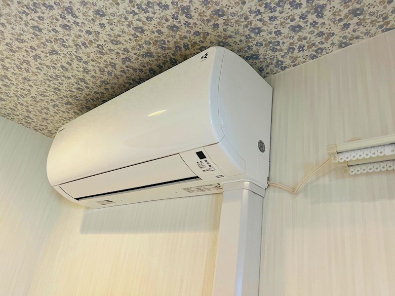 さくらルミナス その他5