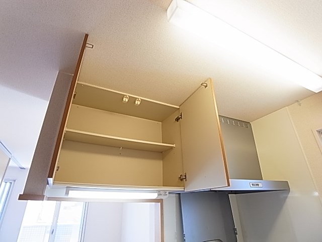 レイストリーフ その他21