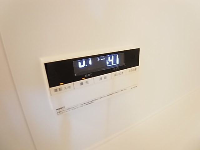 レイストリーフ その他28