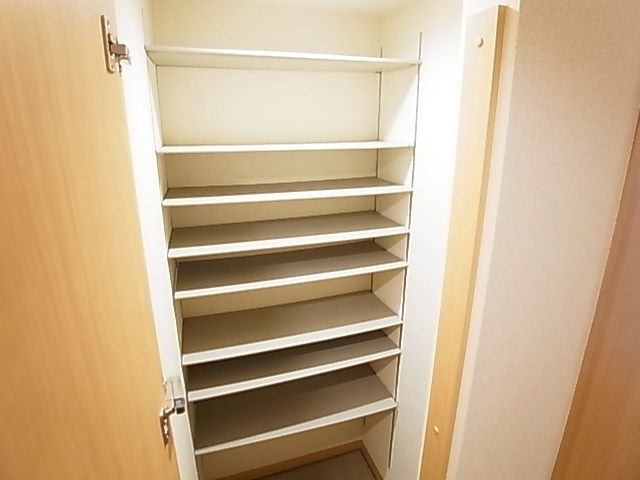 レイストリーフ その他12