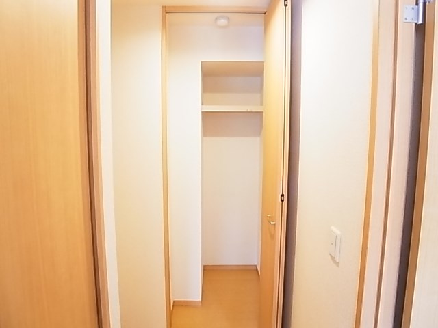 レイストリーフ その他13