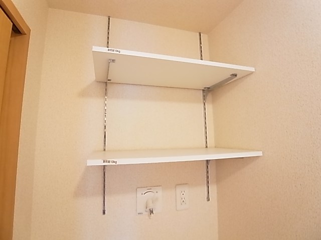 レイストリーフ その他25