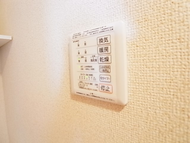 レイストリーフ その他26