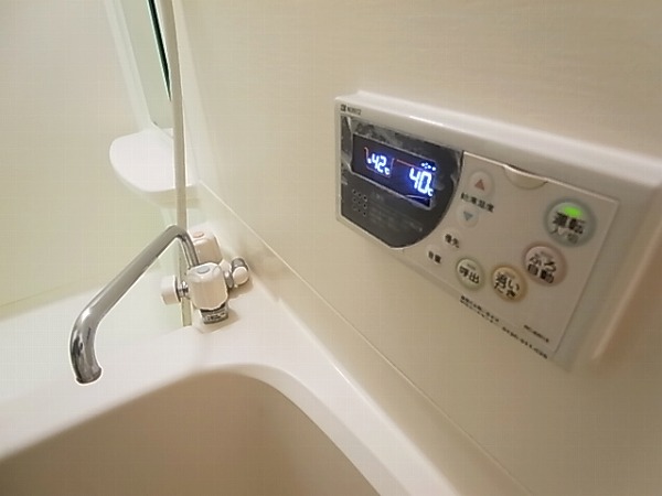 リリー・オブ・ザ・バレー その他10