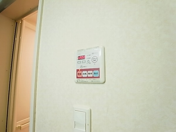 リリー・オブ・ザ・バレー その他12