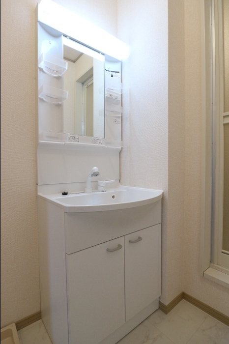 ロイヤルガーデン・サウスA その他2