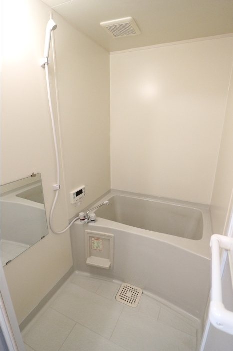 ロイヤルガーデン・サウスA 風呂画像