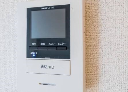 フェニックス　A その他4