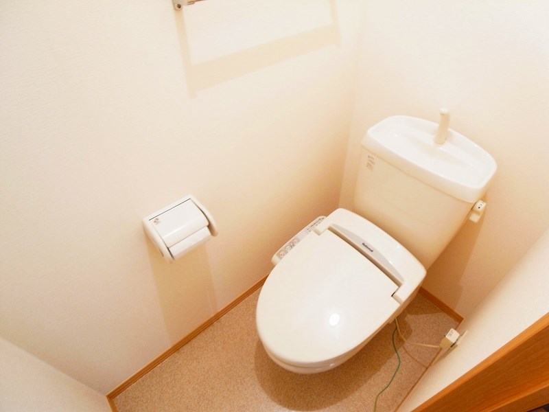 ステラコート その他1