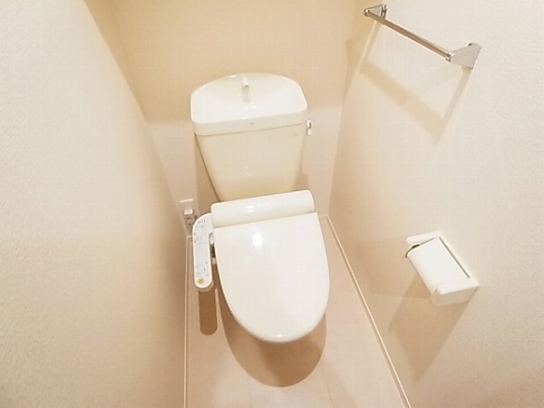 アネシスⅡ その他1