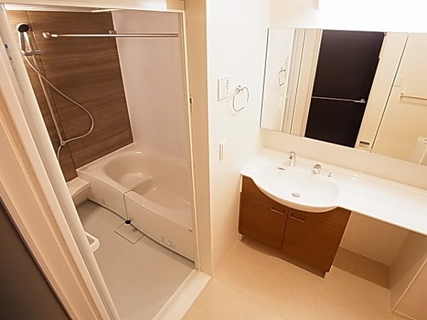 アネシスⅡ その他2