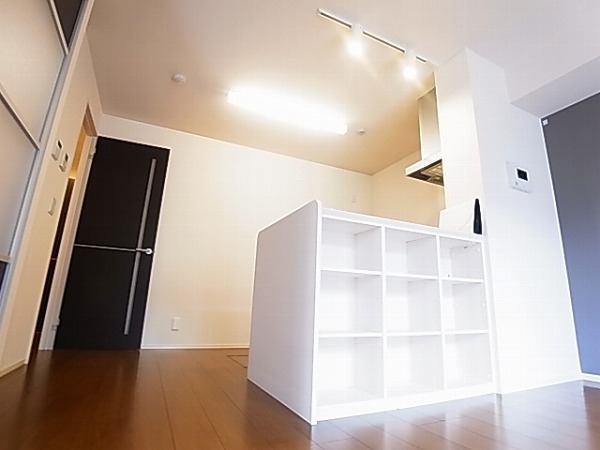 アネシスⅡ その他12