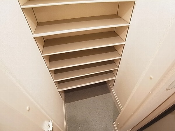 アネシスⅡ その他13