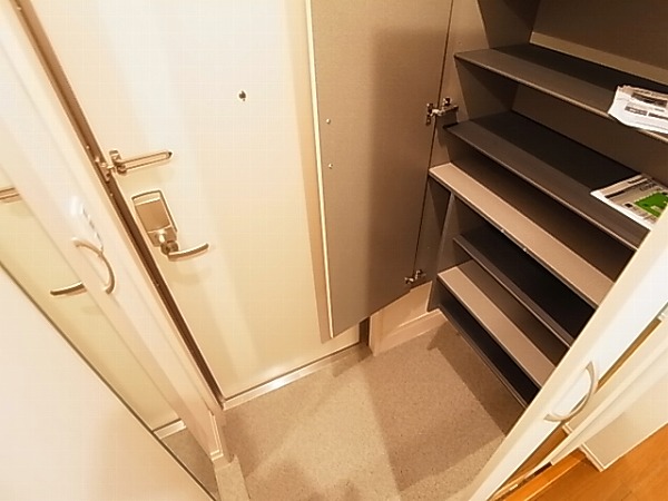 アネシスⅡ その他16