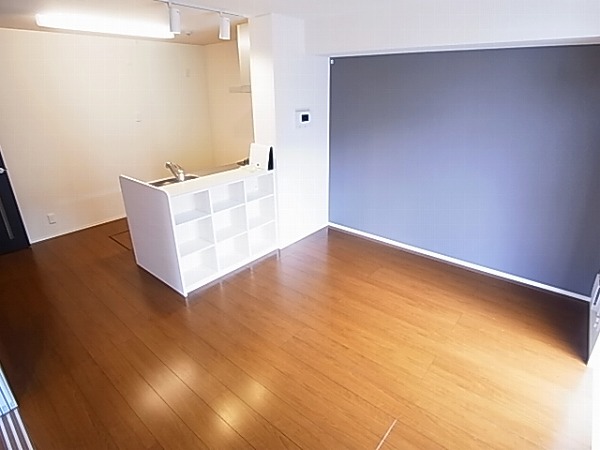 アネシスⅡ その他20