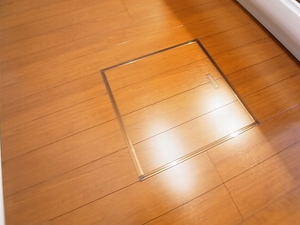 アネシスⅡ その他21