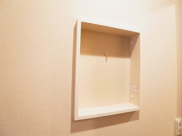 アネシスⅡ その他22