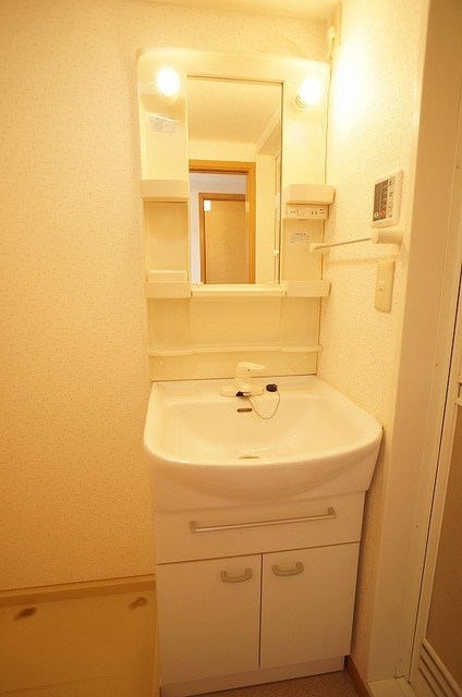 シンセリティーヒルズ３ その他2